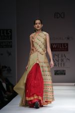 Model walks the ramp for Vaishali S Show at Wills Lifestyle India Fashion Week 2013 Day 5 in Mumbai on 17th March 2013 (93).JPG